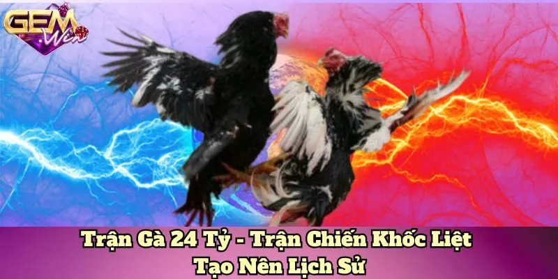 Trận gà 24 tỷ